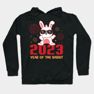 Year of the Rabbit 2023 Chinese New Year Hoodie